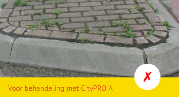 Voor behandeling met CityPro