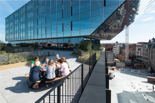 Leefdak of gebruiksdak