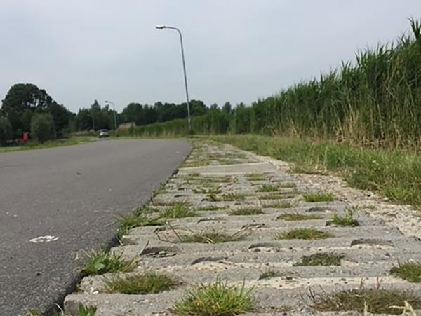 Voorbeeld REMMEND-BERMBLOK